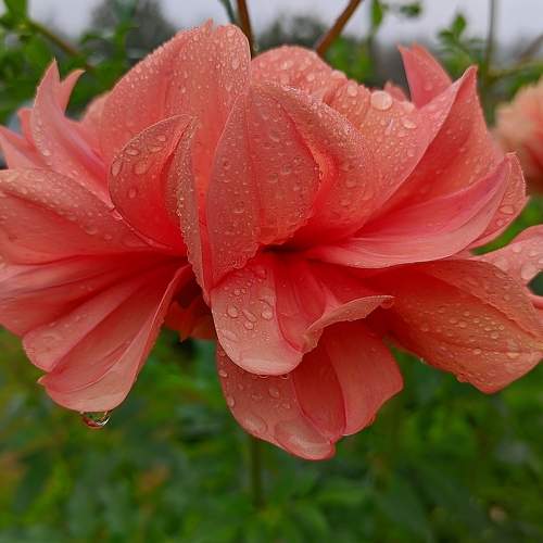 Photo #7636659