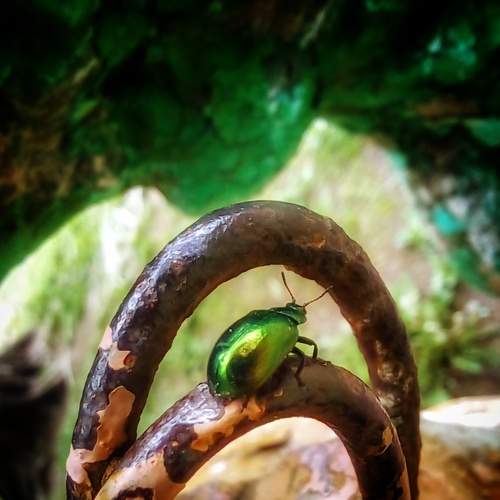 Photo #7636720