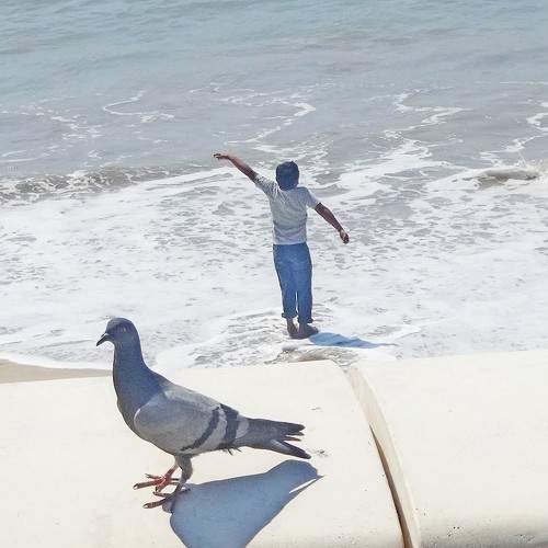 Photo #7636759