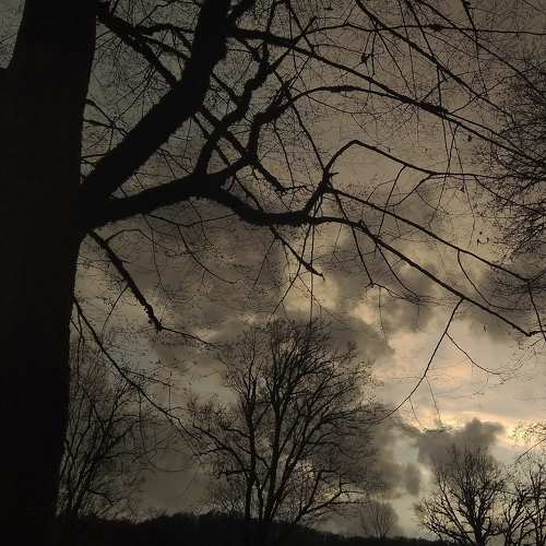 Photo #7636794