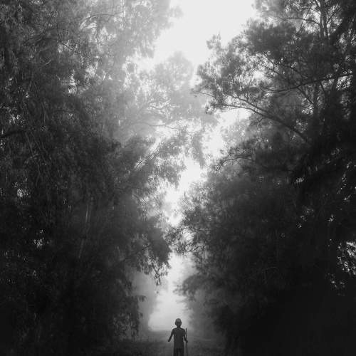 The Road