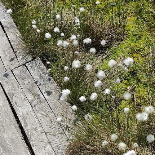Photo #7636989