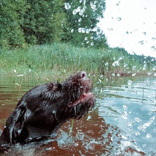 Photo #7637050