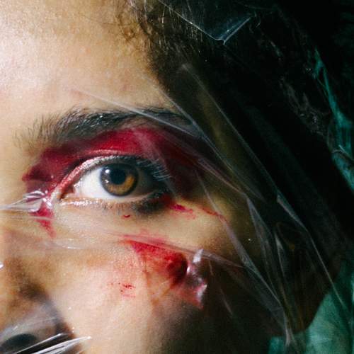 Photo #7637426