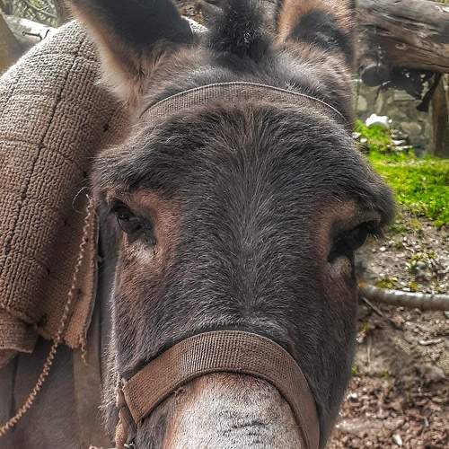 Photo #7637510