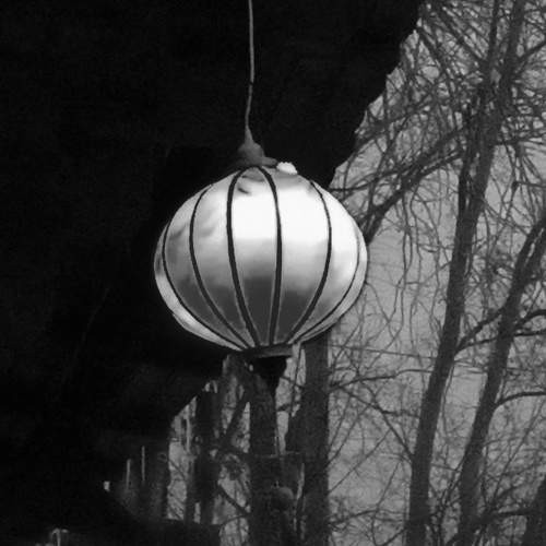 Photo #7637557