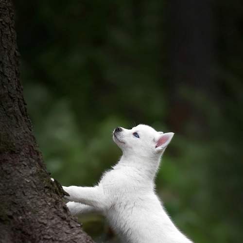 Photo #7637656