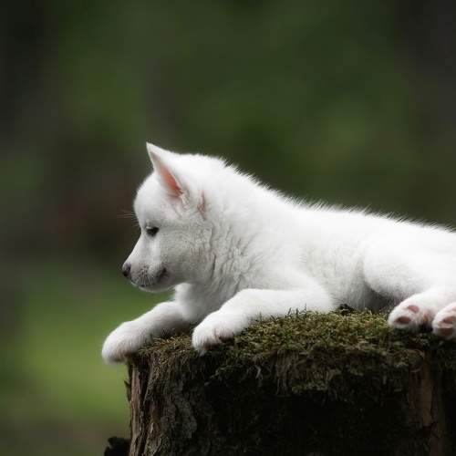 Photo #7637657