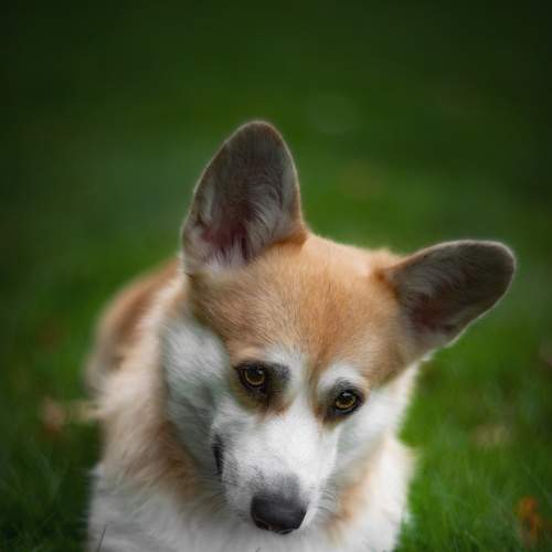 Photo #7637722