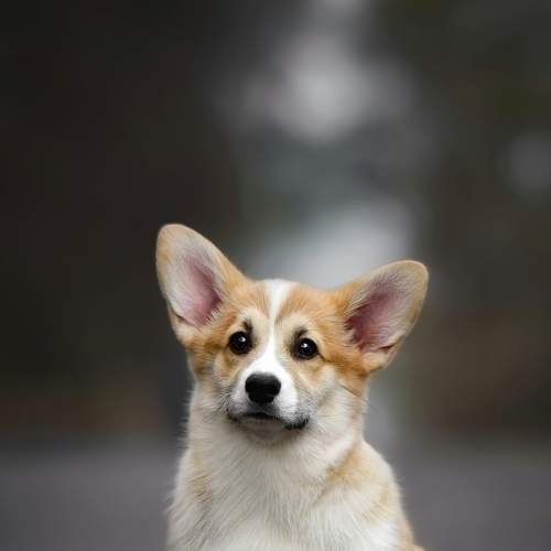 Photo #7637786