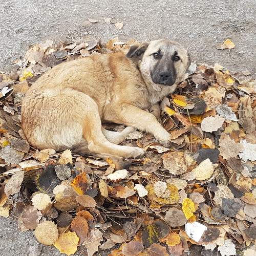 Photo #7637831