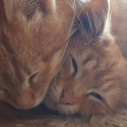 Photo #7637837