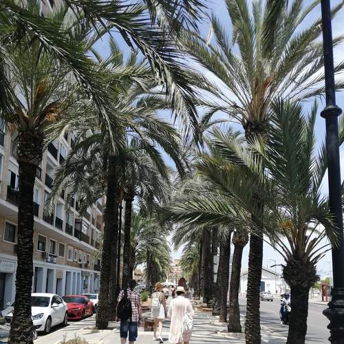 Photo #7637940
