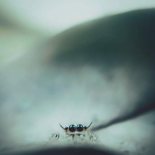 Photo #7638202