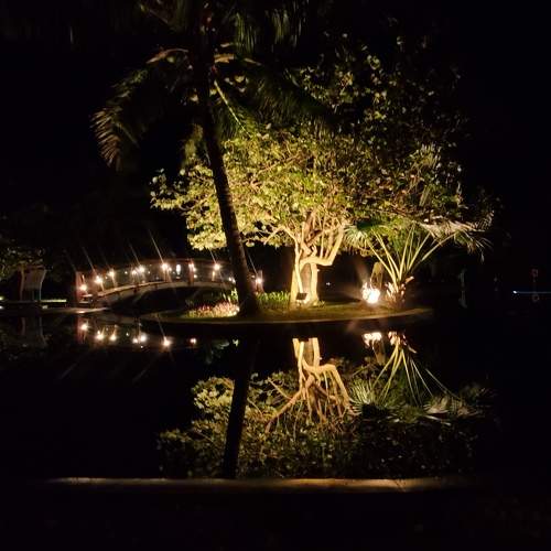 Photo #7638499
