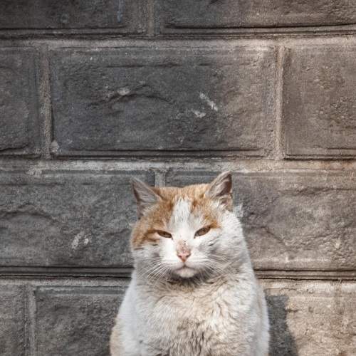 Photo #7638701