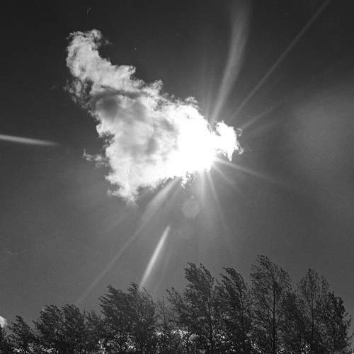 Photo #7638889