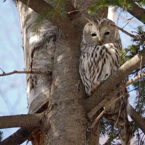 Photo #7638910