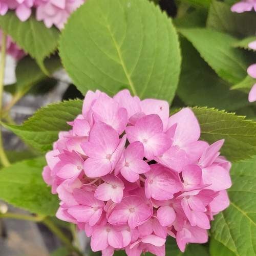 Photo #7639470
