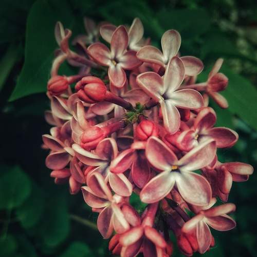 Photo #7639531