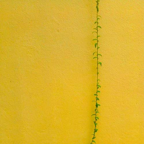 Photo #7639648
