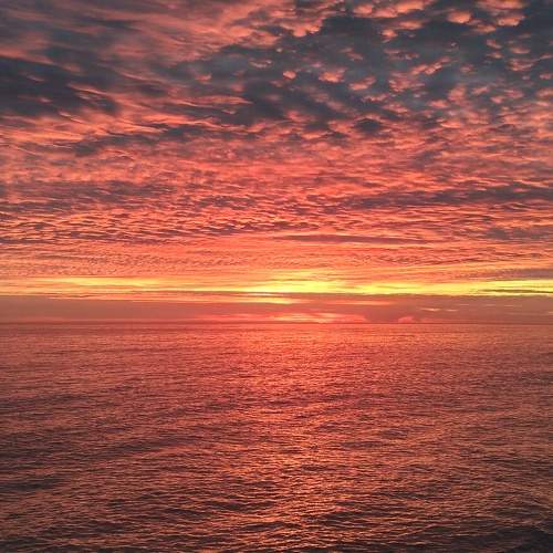 Photo #7639698