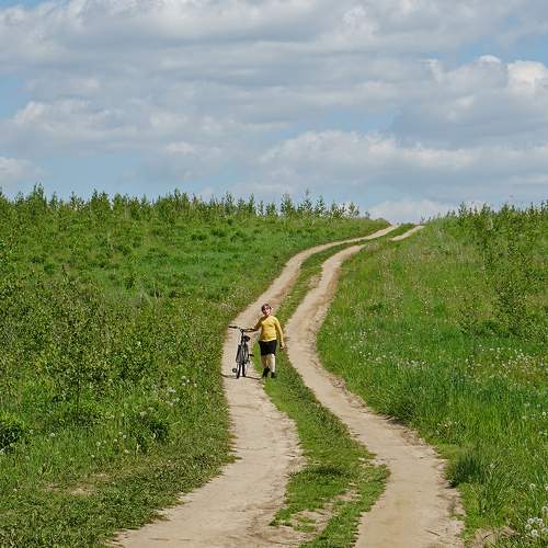 Photo #7639841