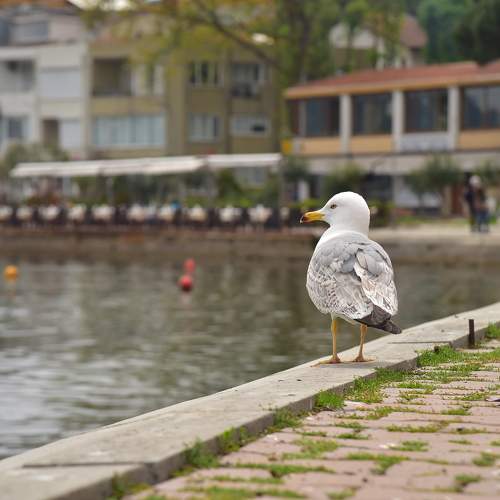 Photo #7639912