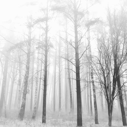 Photo #7640096