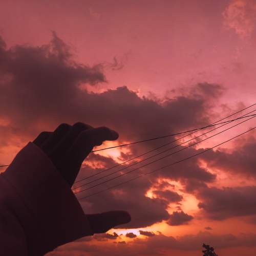 Photo #7640378