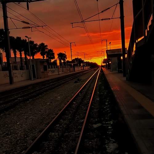 Photo #7640477