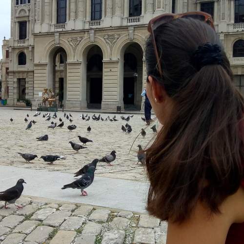 Photo #7641252