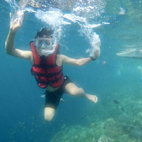 Photo #7641288