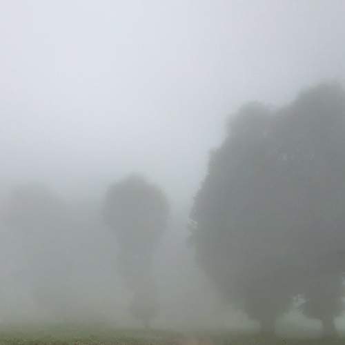 Photo #7641290