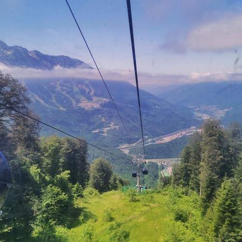 Photo #7641333