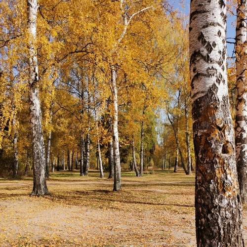 Photo #7641352