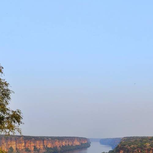 Photo #7641374