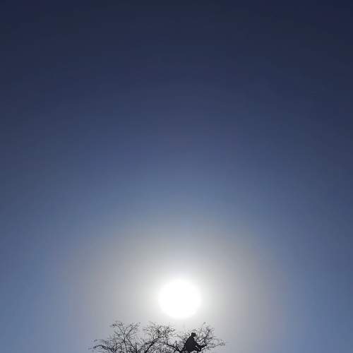 Photo #7641375