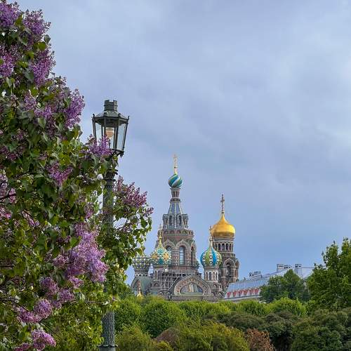 Photo #7641568