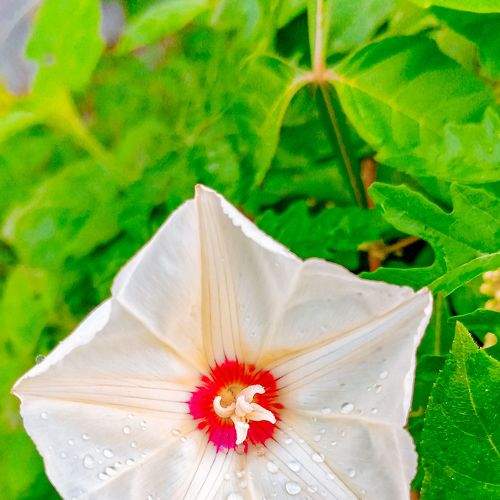 Photo #7641579