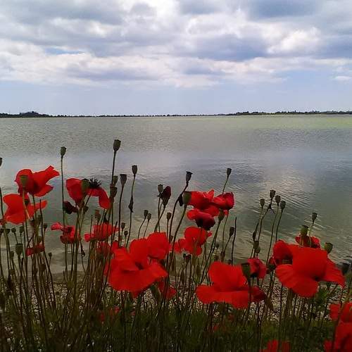 Photo #7641804