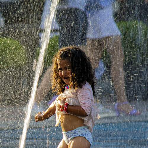 Photo #7642509