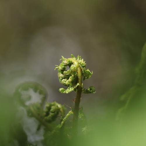Photo #7642727