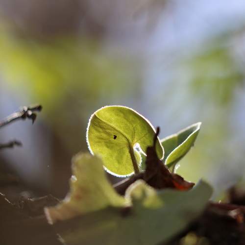 Photo #7642738