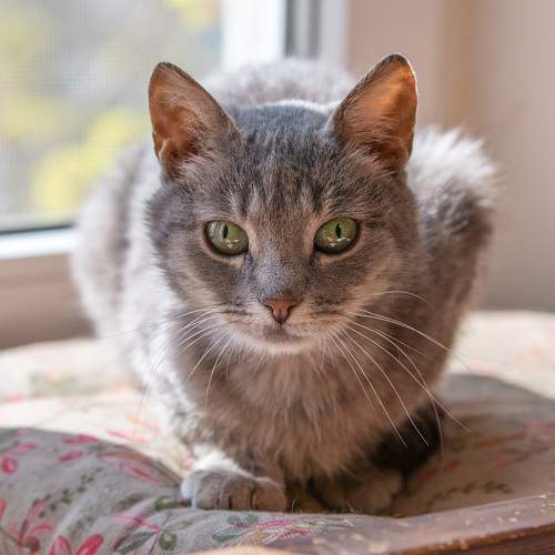 Photo #7642844