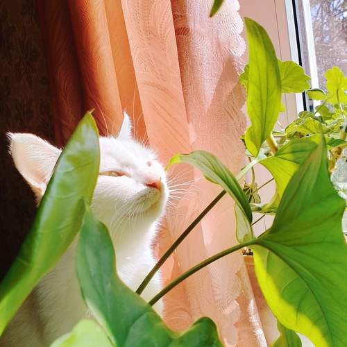 Photo #7643119