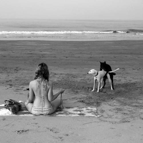 Photo #7643366