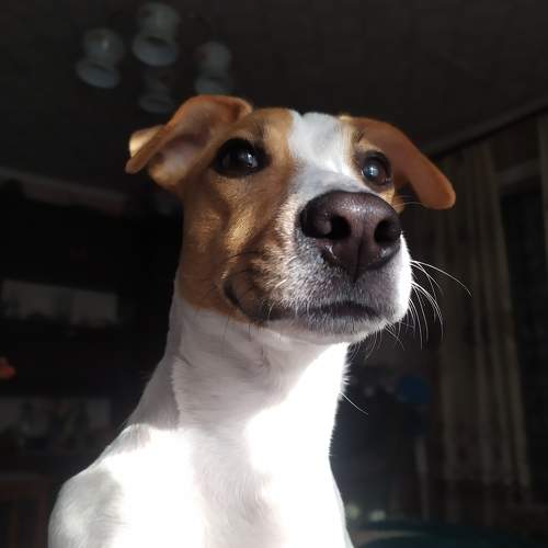 Photo #7643592