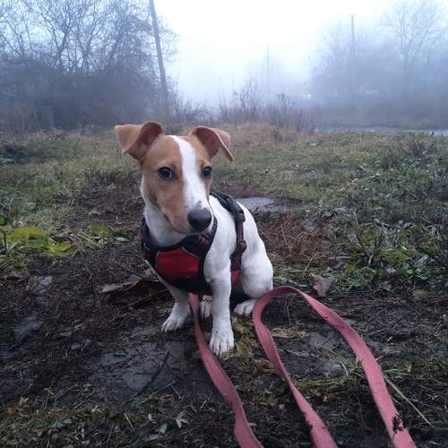 Photo #7643600