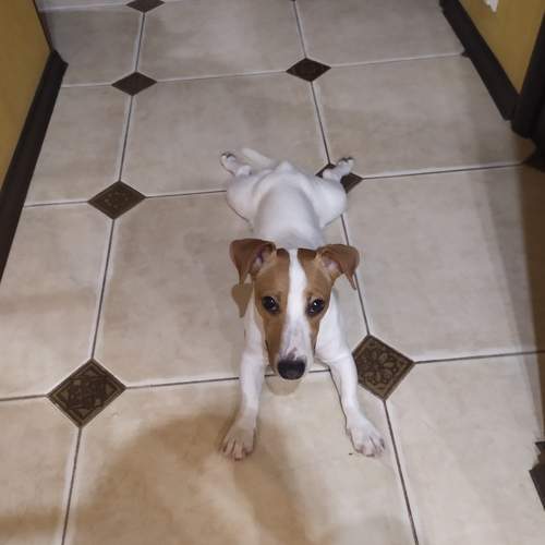 Photo #7643612